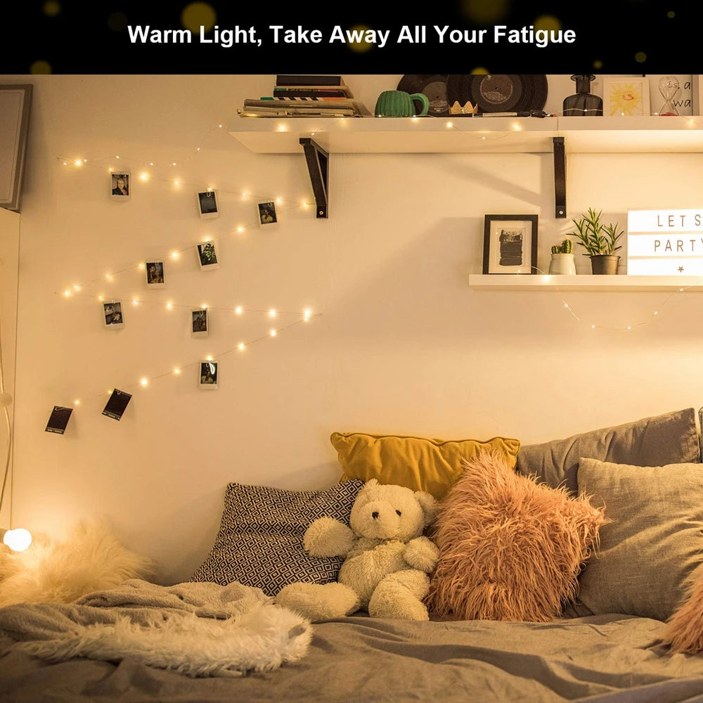 LED Fairy Lights - Photo Clip